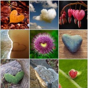 many hearts