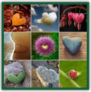 Many Hearts