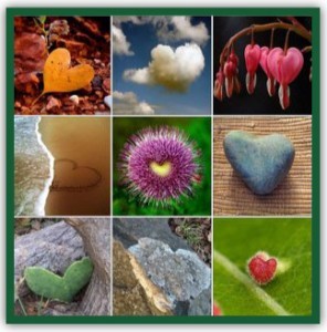 many-heartsbdr-296x300