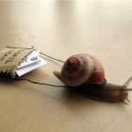 snail-mail-1-150x150