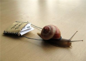 snail-mail-1