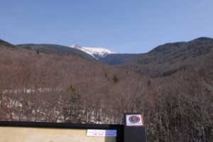 whoh1-500x334